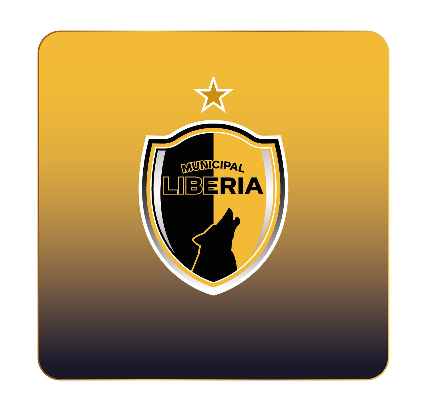 MUNICIPAL LIBERIA
